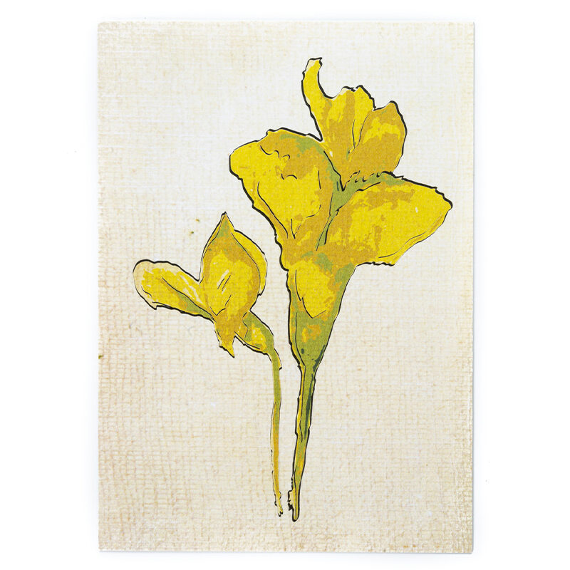 Zdjęcie: Na białym tle kartka pocztowa w kolorze beżowym. Na niej narysowane dwa, żółte kwiaty akacji.
