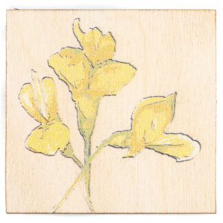 Zdjęcie: Na białym tle kwadratowy, drewniany magnes. Na nim narysowane trzy, żółte akacje.