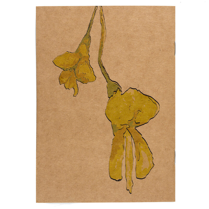 Zdjęcie: Na białym tle okładka notesu. Okładka w kolorze kremowym. Na niej narysowane dwa, żółte kwiaty akacji.