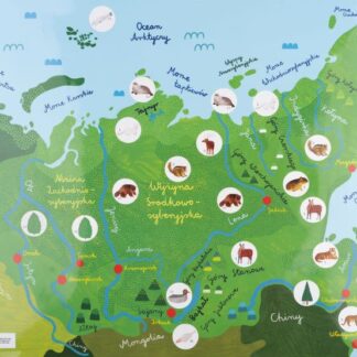 Zdjęcie: Mapa Syberii narysowana przez Darię Solak. Na mapie zaznaczono dwadzieścia trzy punkty. Są to niewielkie, białe kropki, a w każdej z nich jedno zwierzę lub roślina charakterystyczna dla oznaczonego regionu Syberii. Na przykład: piżmowiec syberyjski, burunduk, piesiec czy też jodła syberyjska.